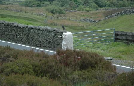 Ved Kate's Cottage, Isle of Man. Foto: "Kiss". NOMCK